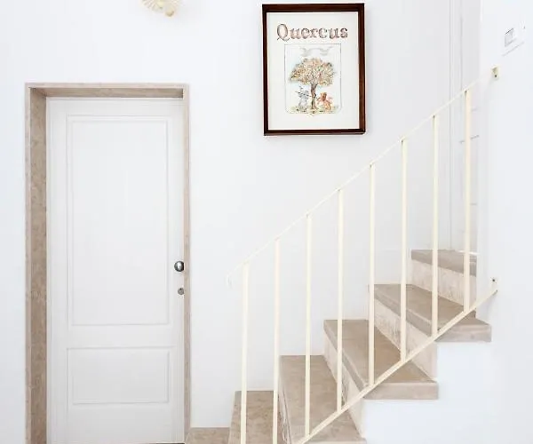 Quercus 公寓 阿尔贝罗贝洛