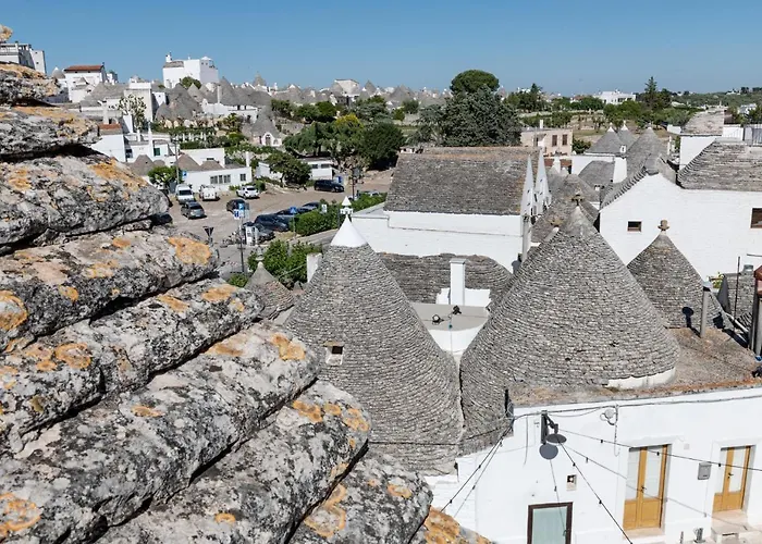 Quercus * 阿尔贝罗贝洛